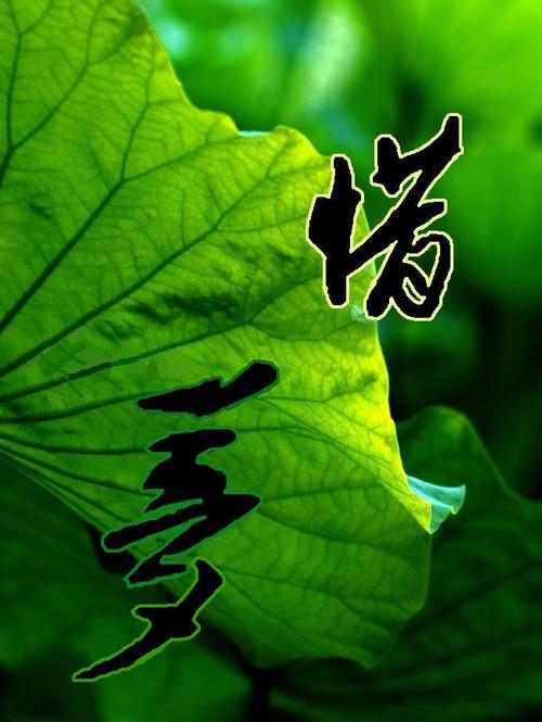漫漫长路，惜梦如初 致我们共同守护的网络家园